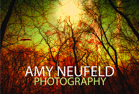 Amy Neufeld